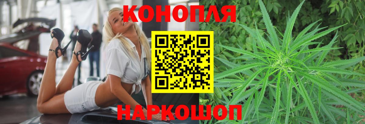 Бошки марихуана планчик  Каннабис индика  Казань  Вход с VPN  Марихуана тримм 